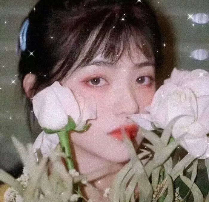 傻妹闯七关